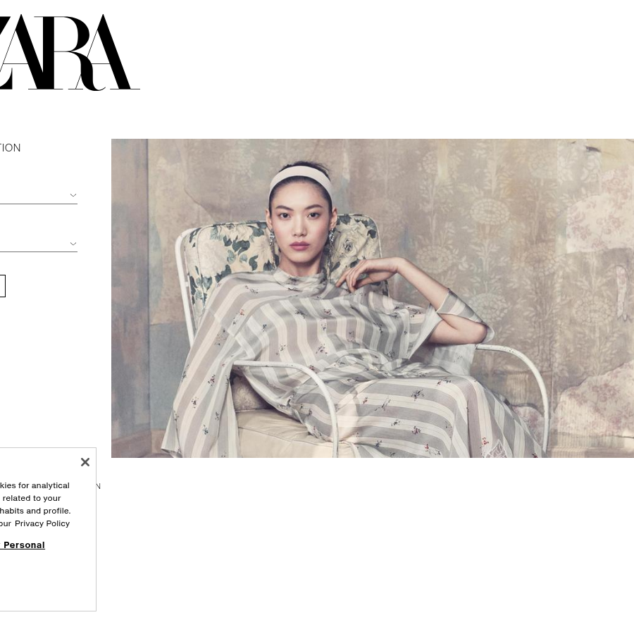 Teardown screenshot of zara.com